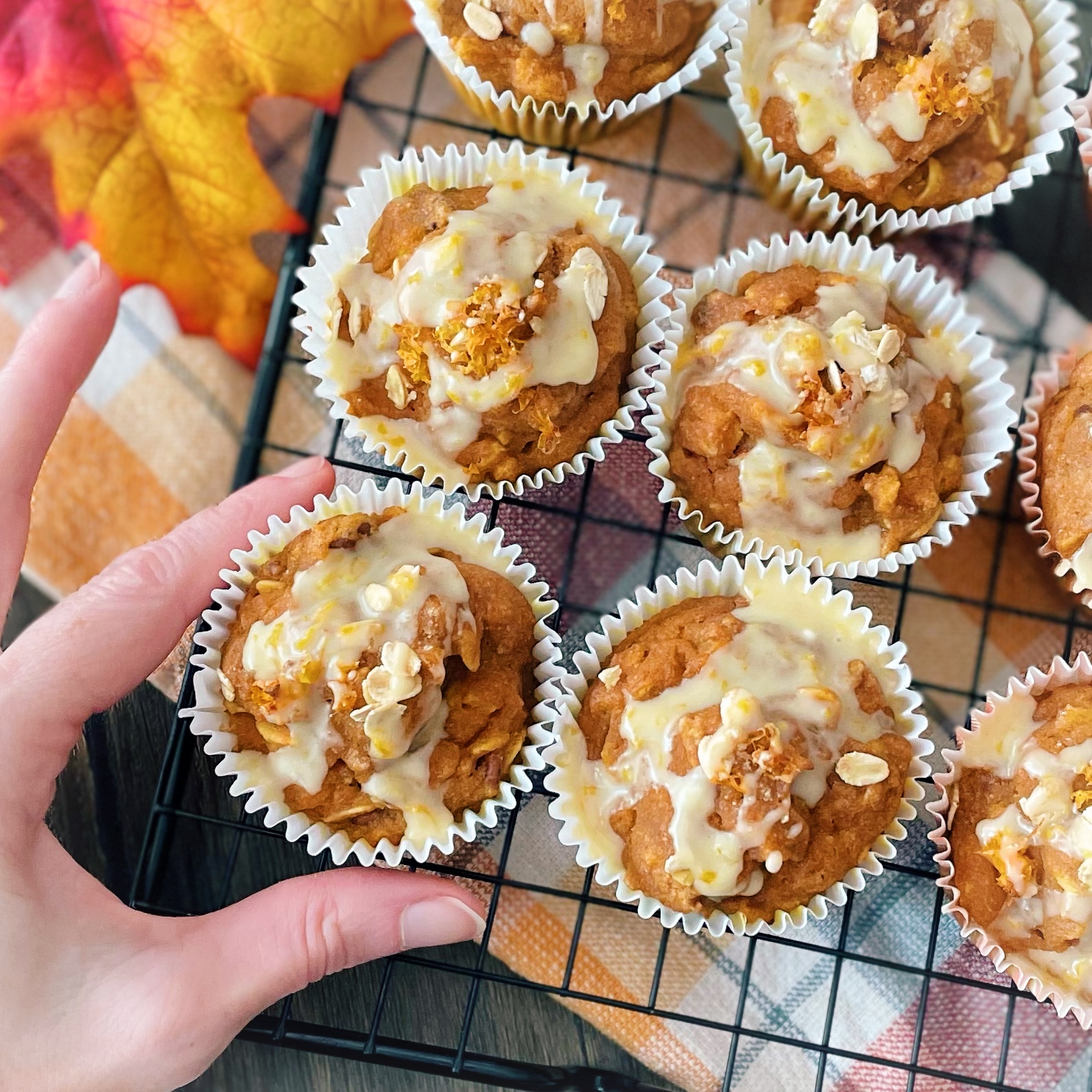 zesty pumpkin muffins